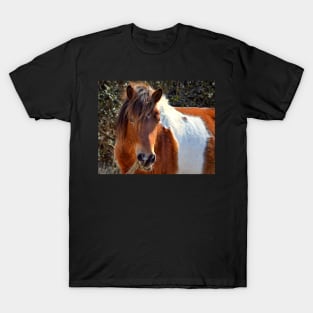 Assateague Pony Ms Macky Portrait T-Shirt